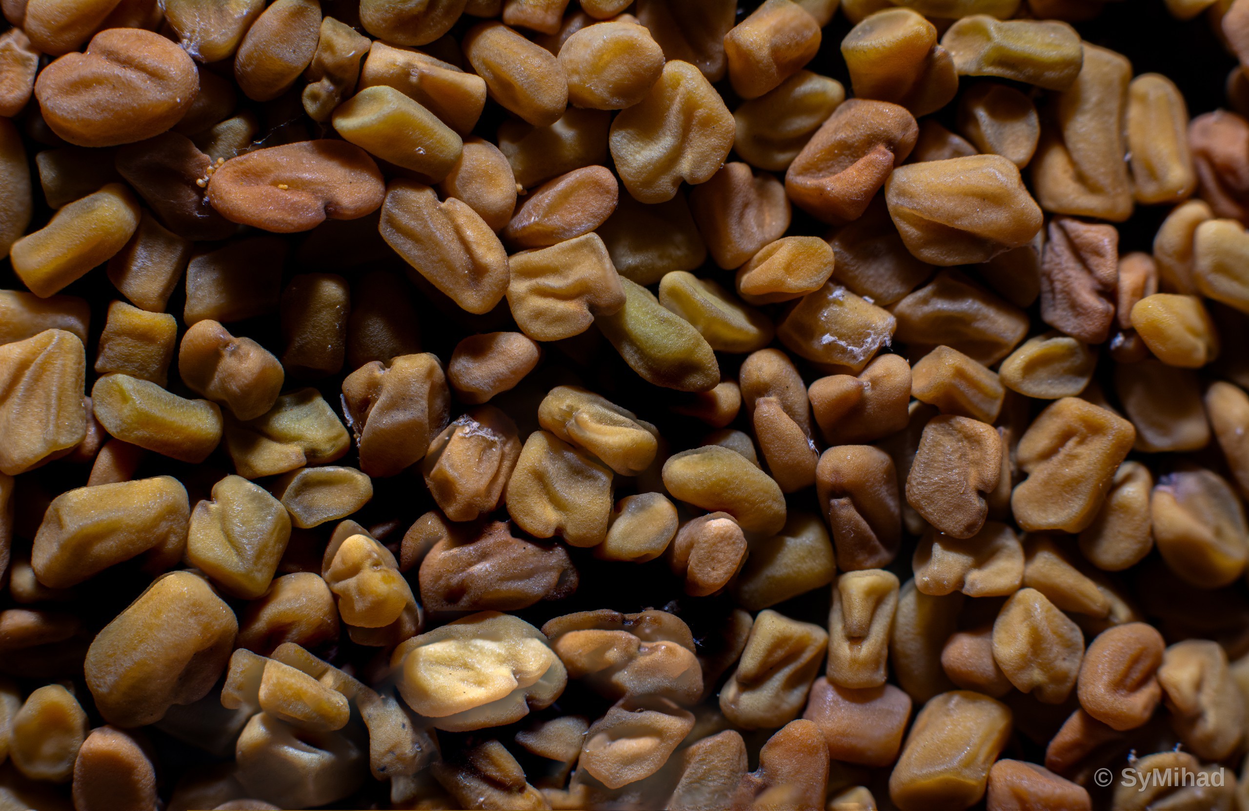 Golden Seeds (fenugreek)