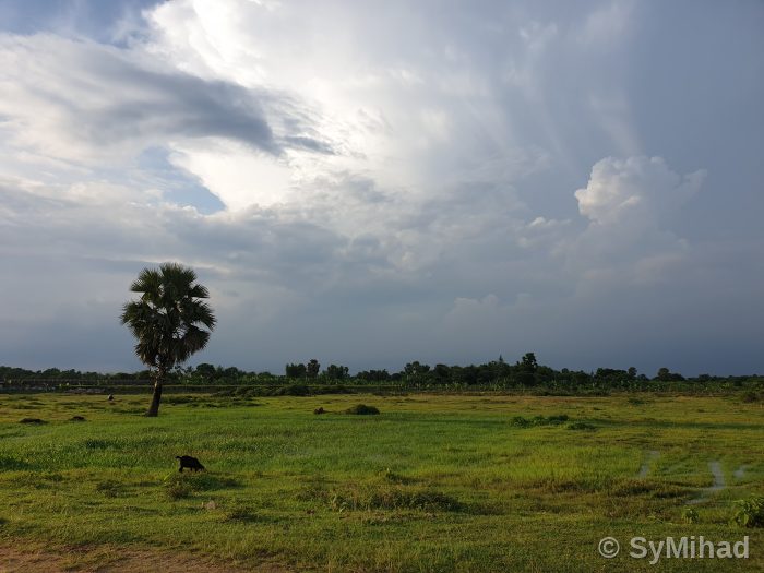 Purbachol Field
