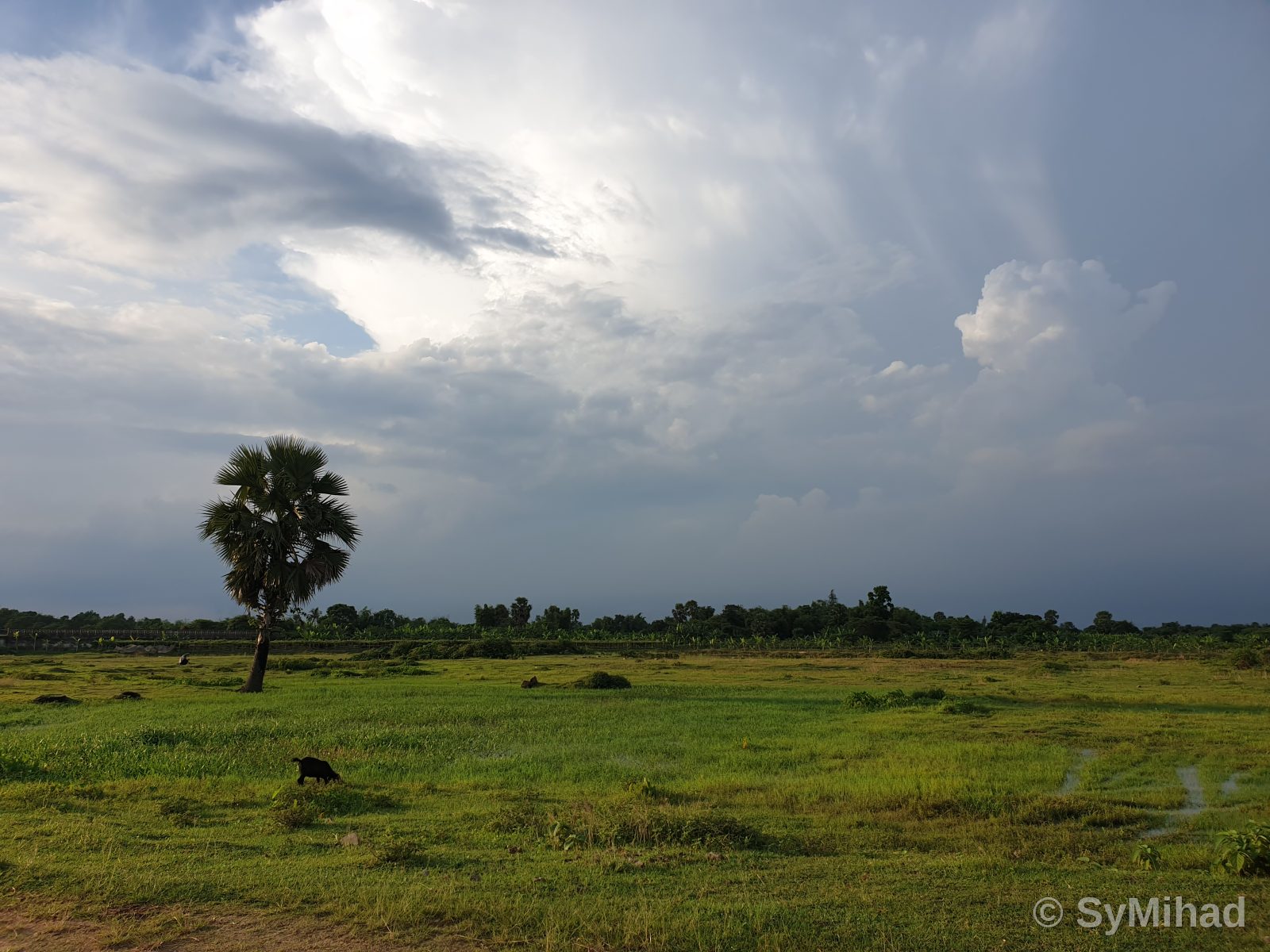 Purbachol Field